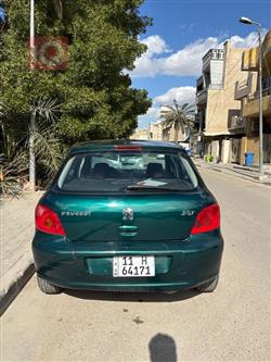 بیجۆ 307